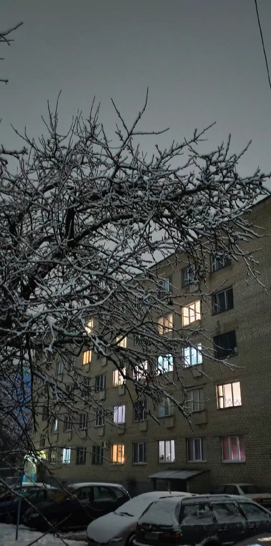 @сквизи