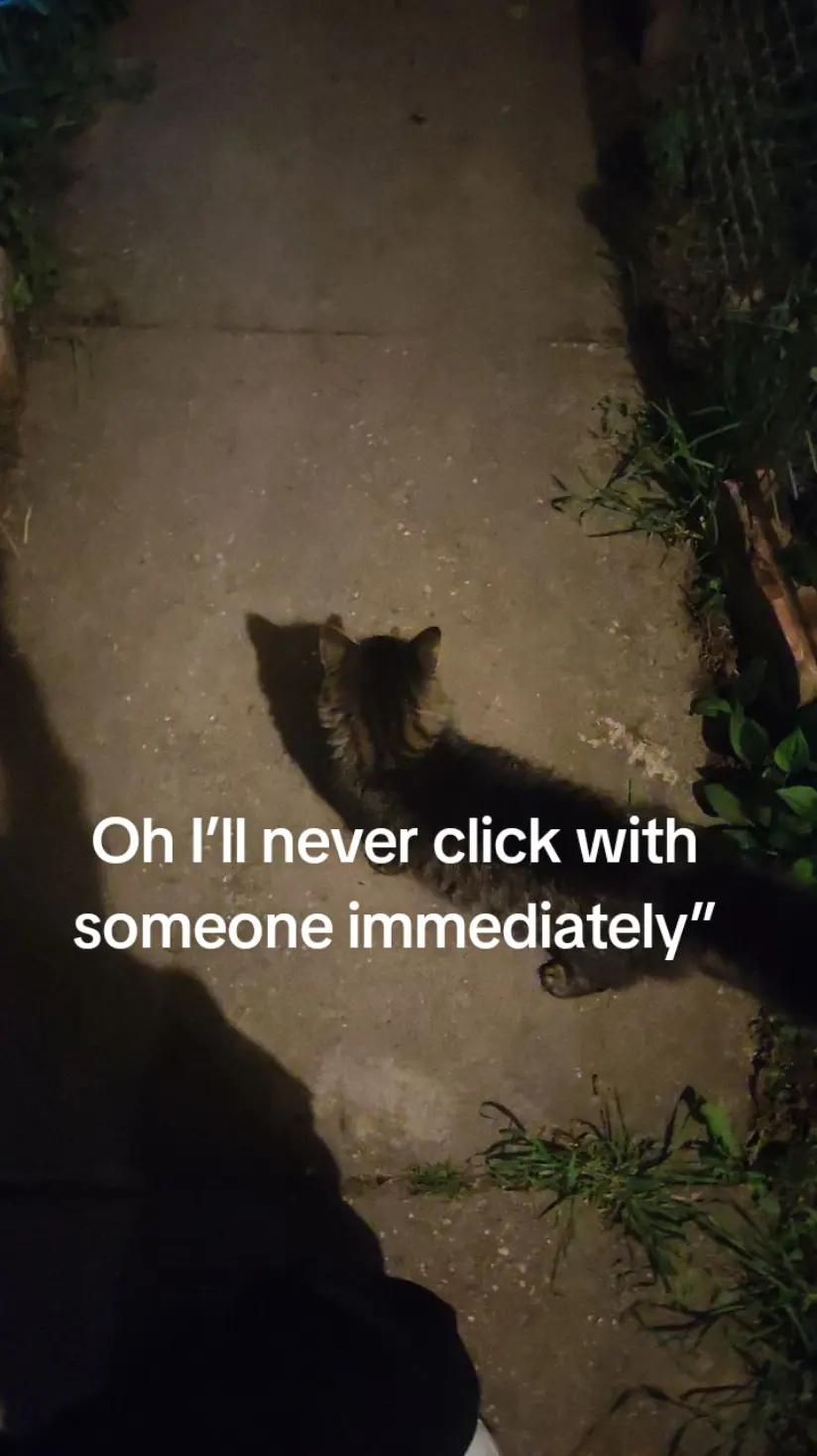 @𝓡𝓸𝓻𝓸
