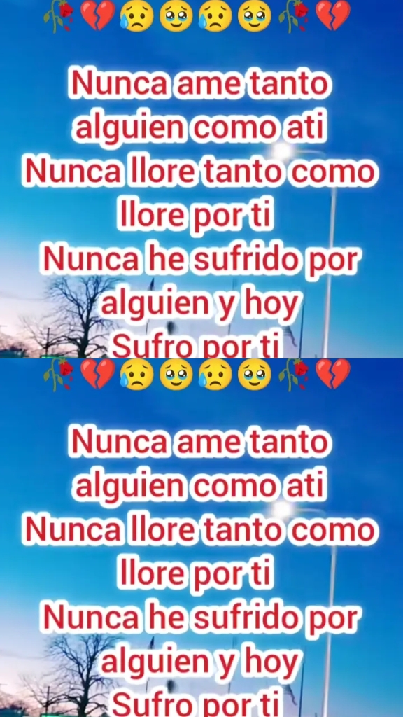 @Mart&iacute;nez 🇧🇴🇨🇱🇵🇪🇦🇷 🌺🌺