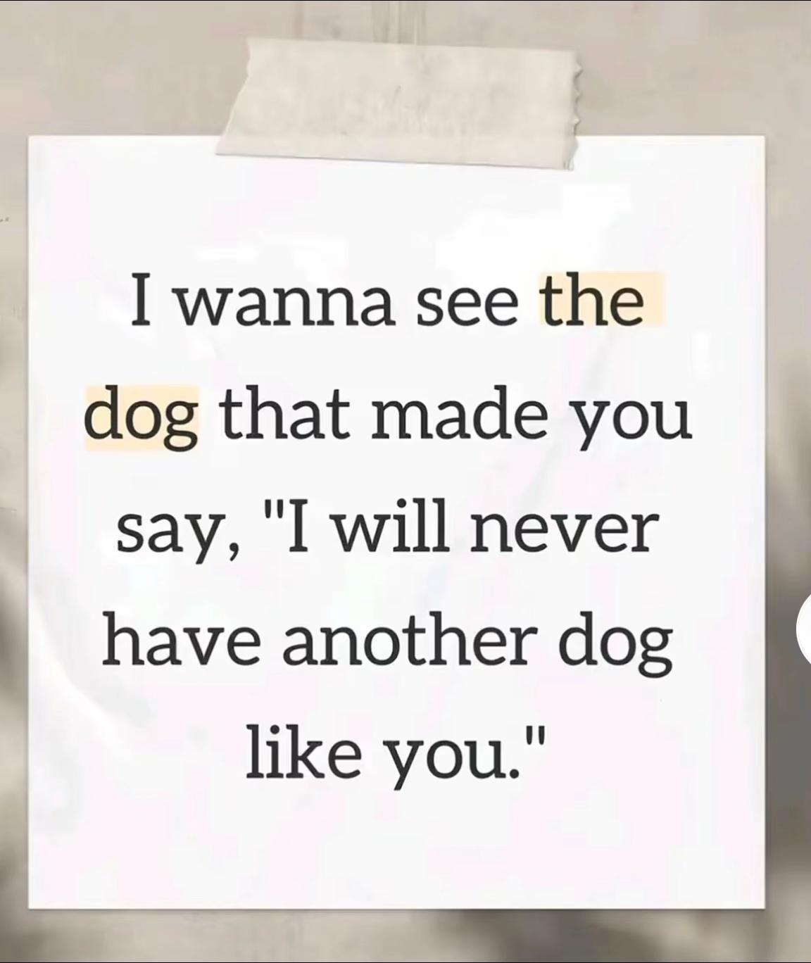 @Uk_dogs.