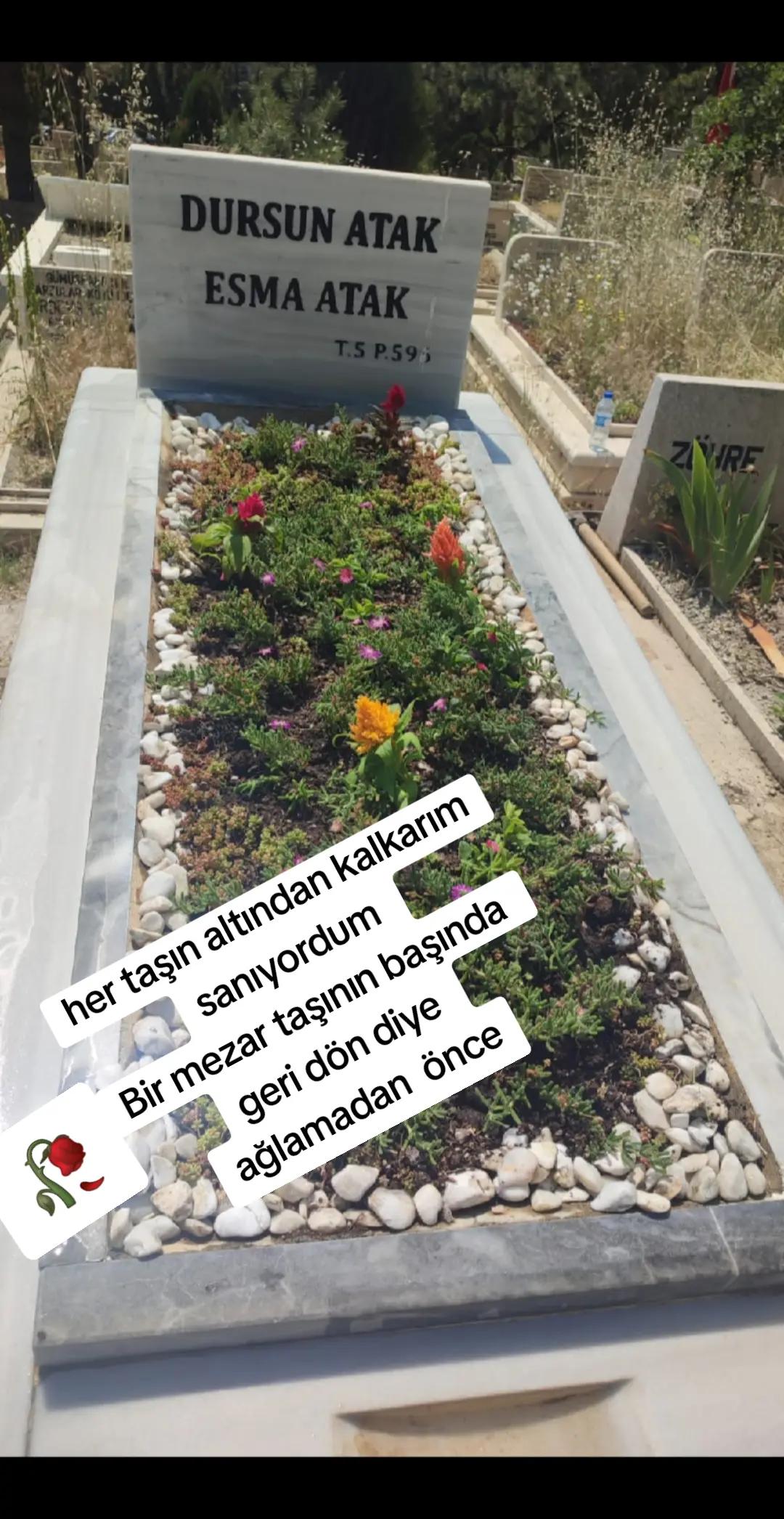 @GaMzE🕊 S💙A🩵E❤️ Aşklarım