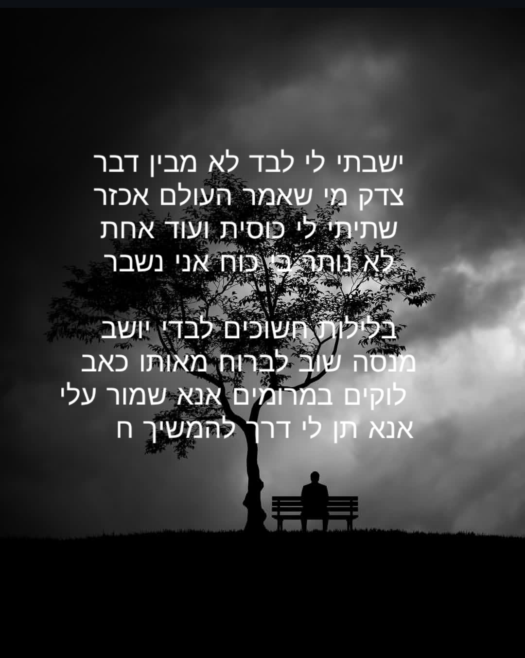 @🌹‹›‹›‹›נעים‹›‹›‹›🌹