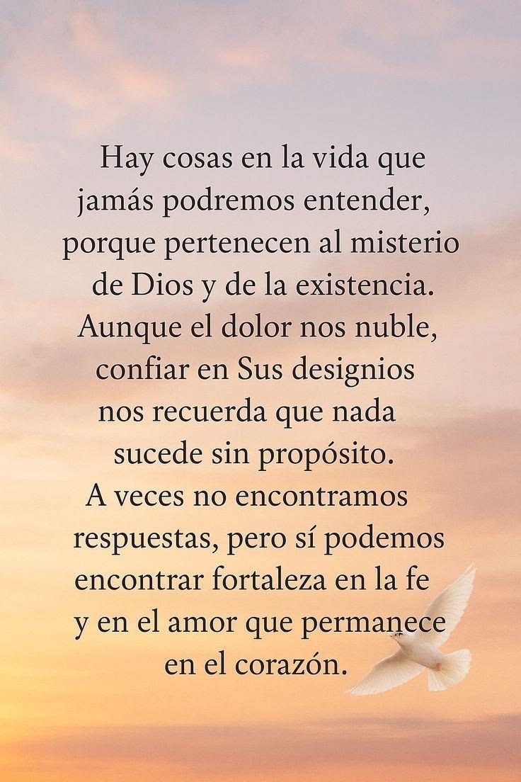 @elvirasvg