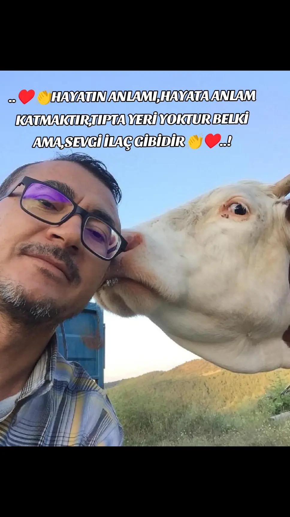 @Mehmet Özer