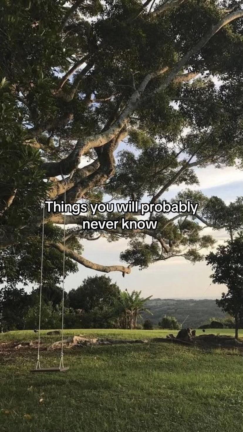 @Xoxo