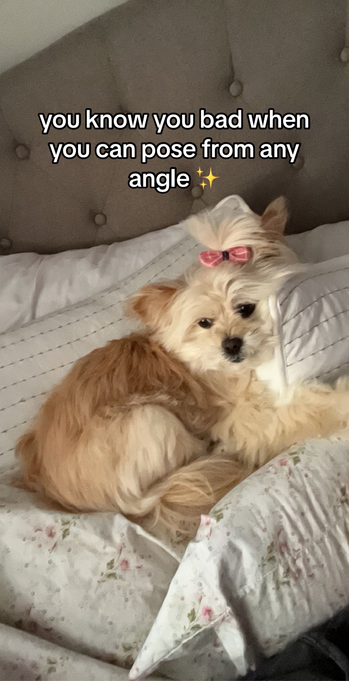 @bridgette daniel