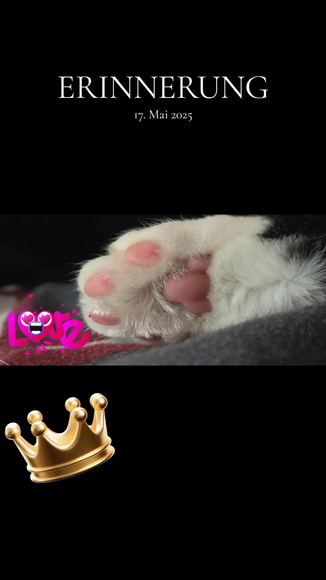 @👑😼Malia Die Königin😼👑