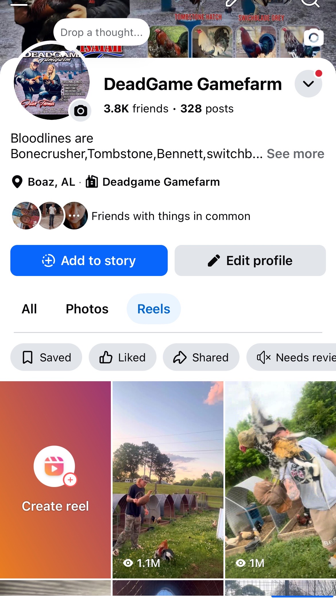 @DeadGame.Gamefarm