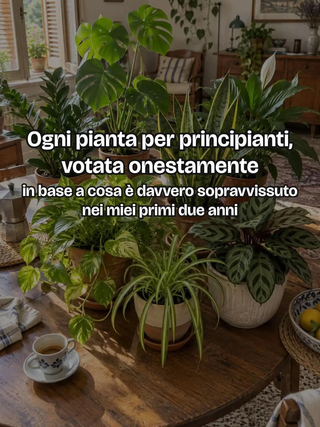 @Anna.dsantis