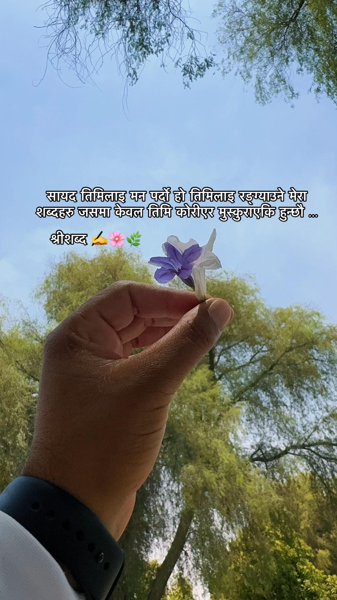 @🌿श्रीशब्द….✍️🕊️🍁🍂