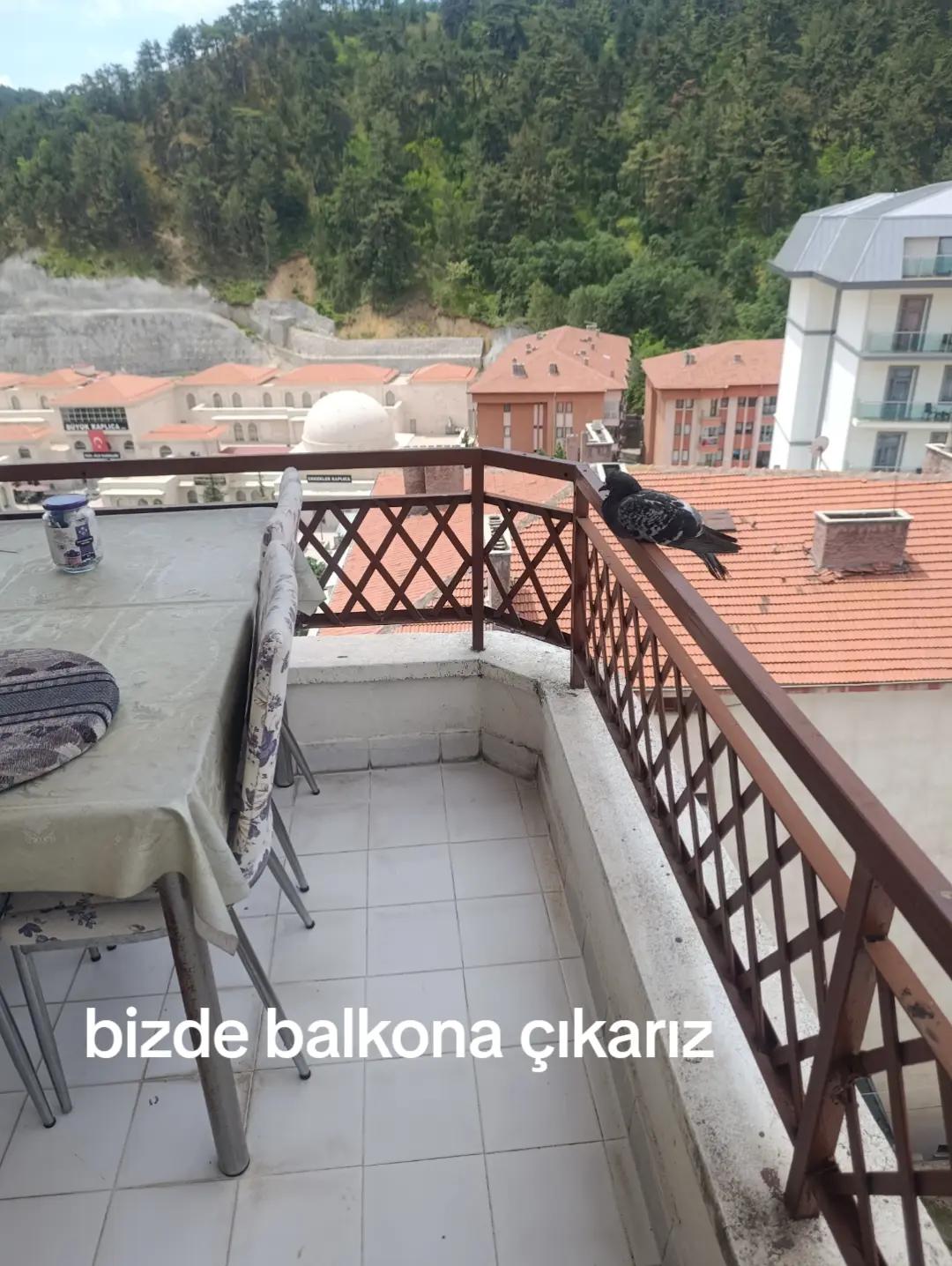@zalimin kızı 06