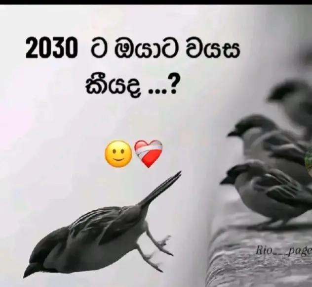 @Chooty😇💗