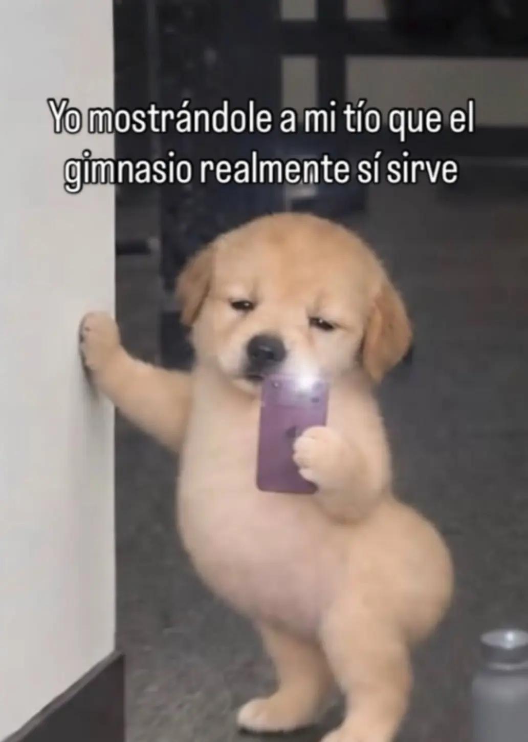 @Sioo🦦