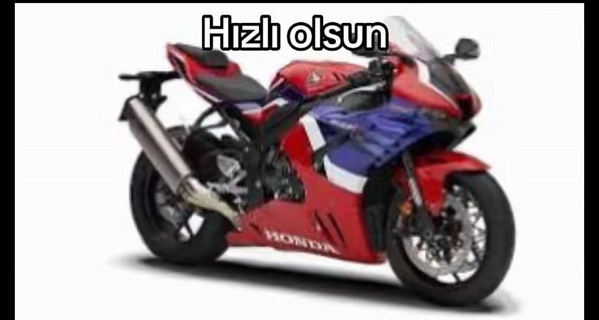 @horoz ve oyun kuşu güvercin