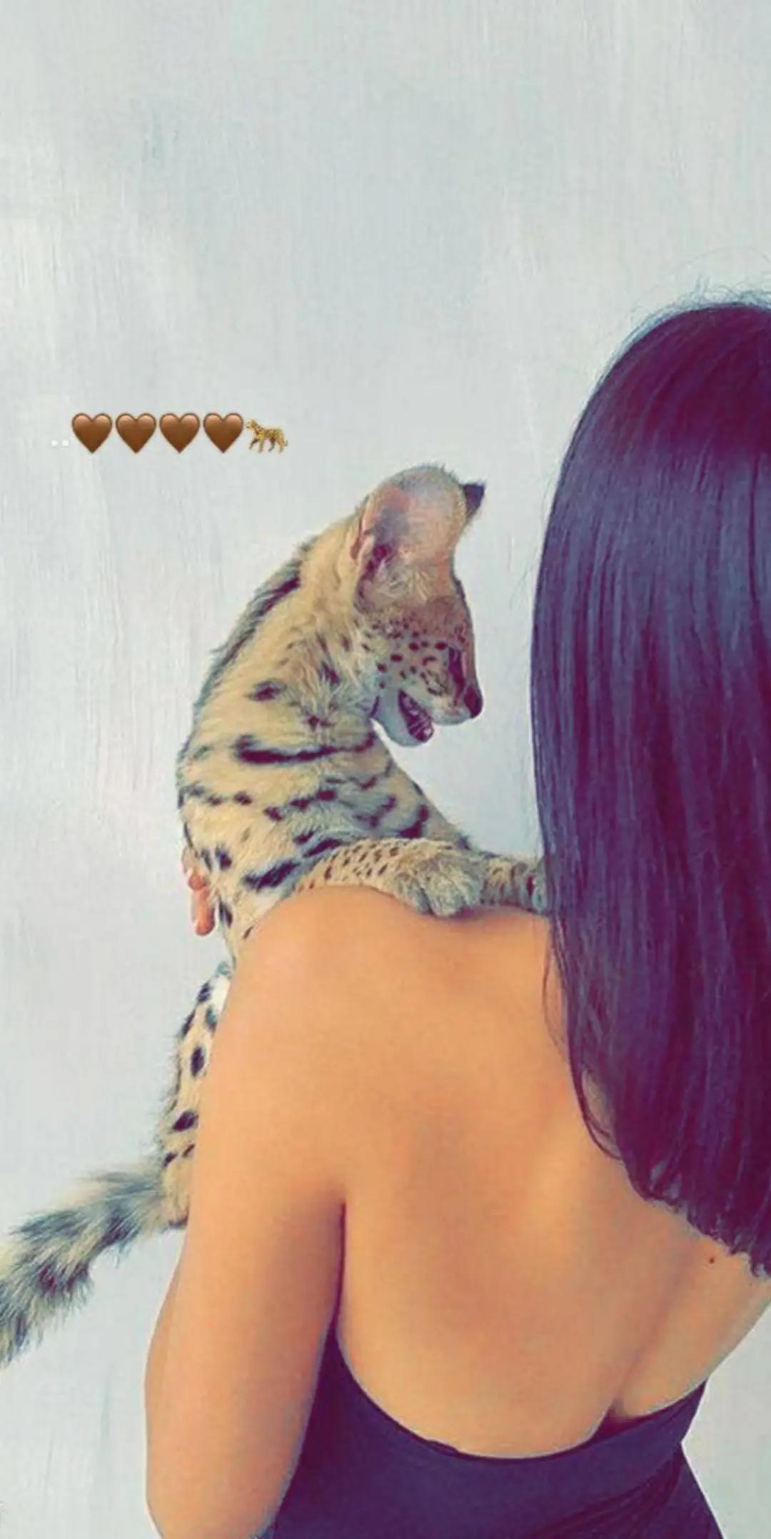 @𝑴𝒂𝒓𝒂𝒎💕