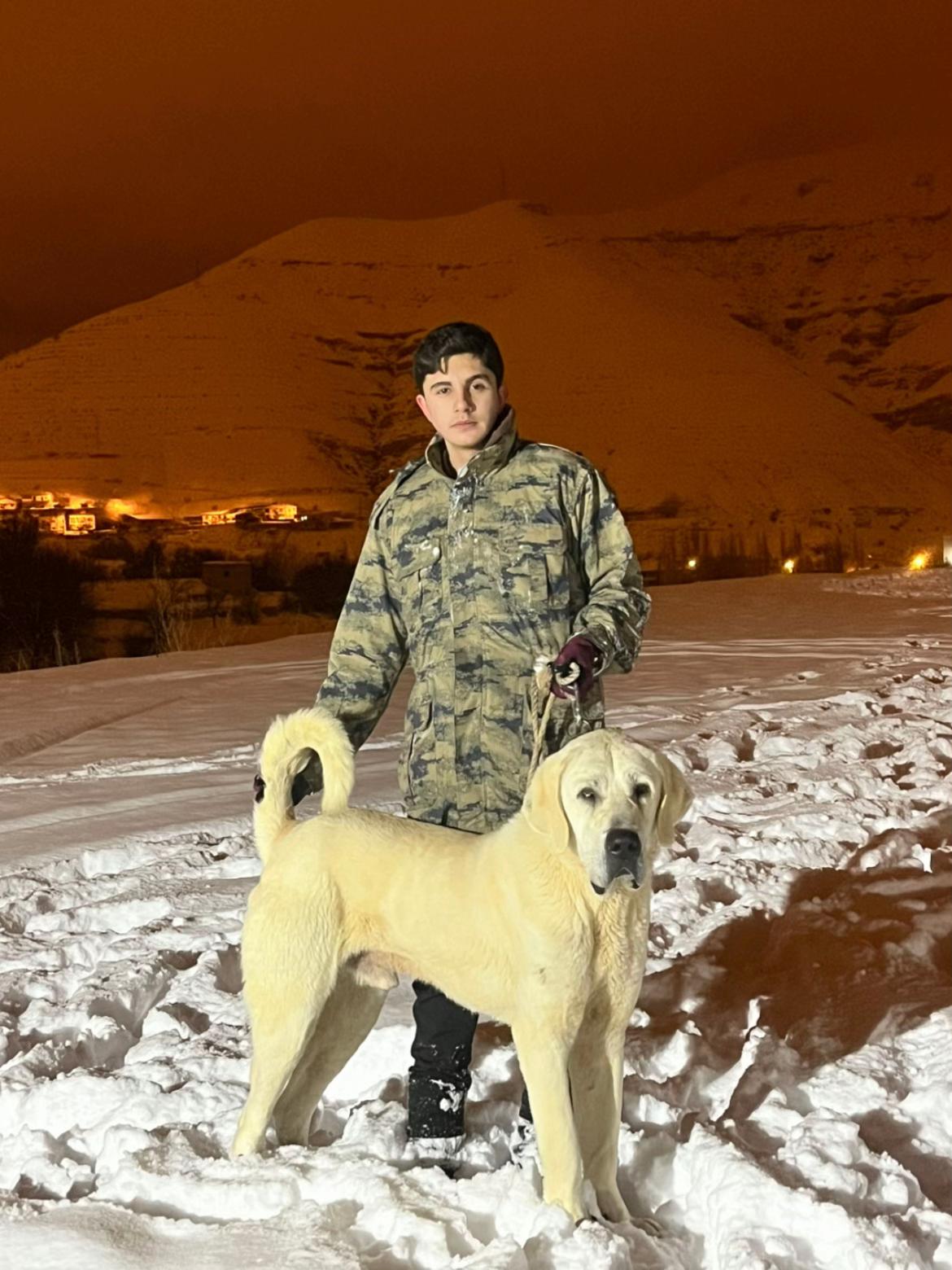 @Gürün.kennels58