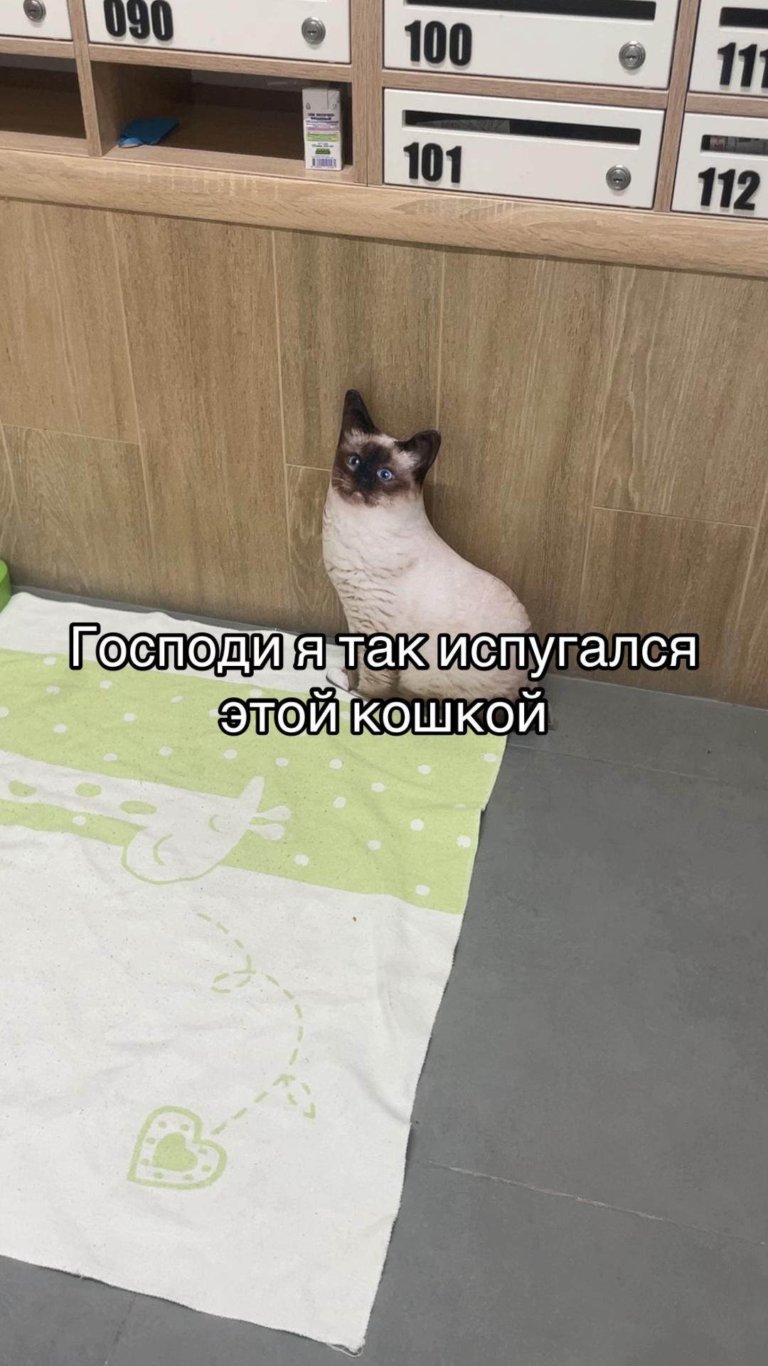 @🍏-марсиЯблочко-🍏