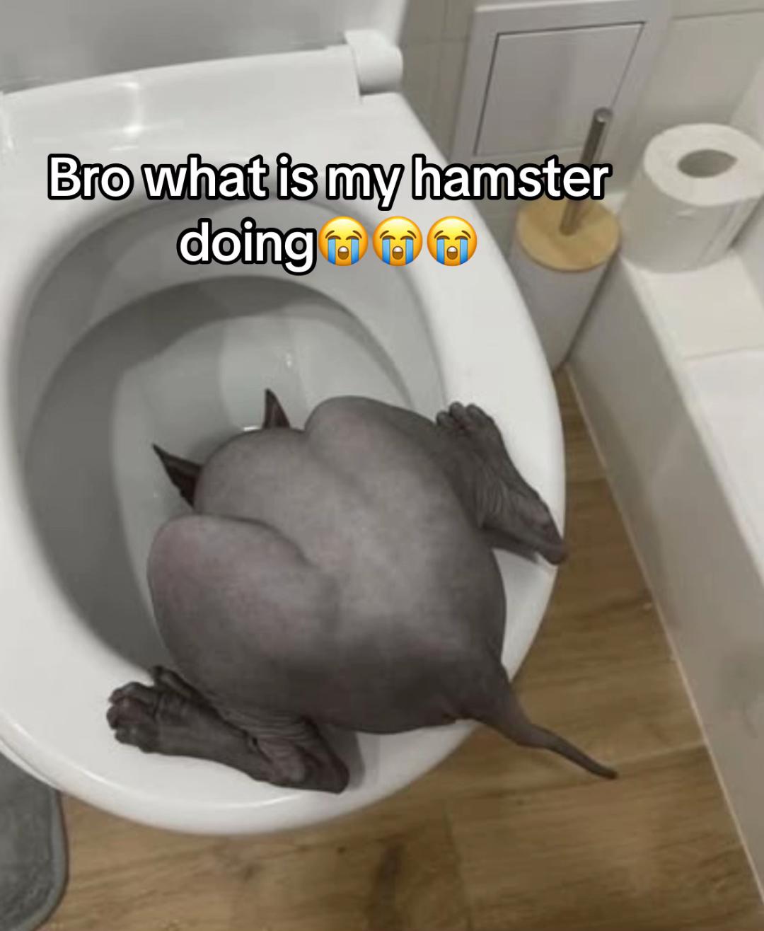 @klawhqqz