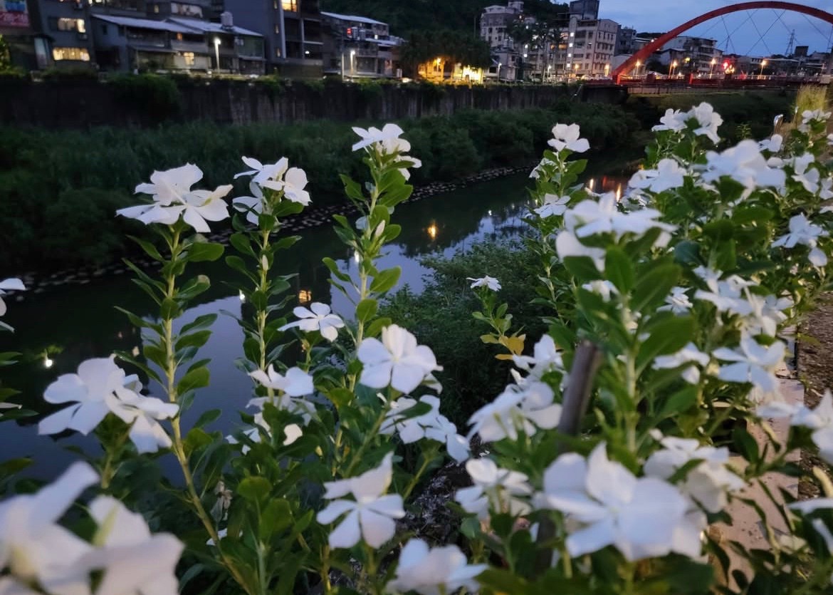 @張張