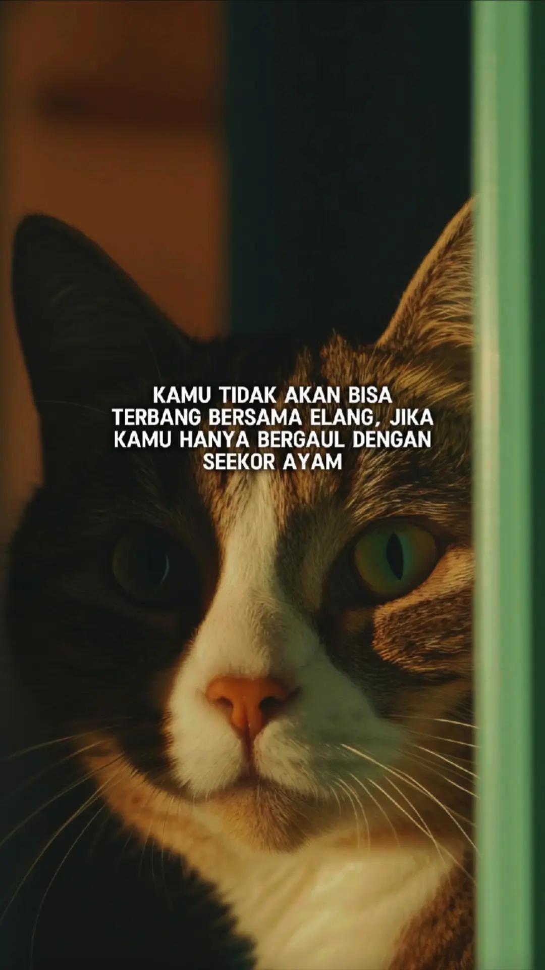@ɪQʙᴀʟᴘʀᴀᴛᴀᴍᴀ✪