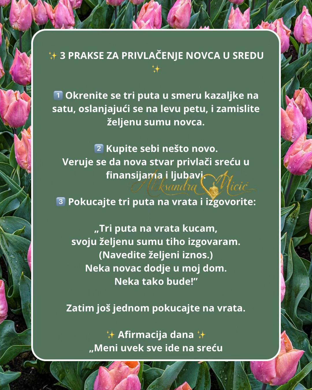@Aleksandra Micic