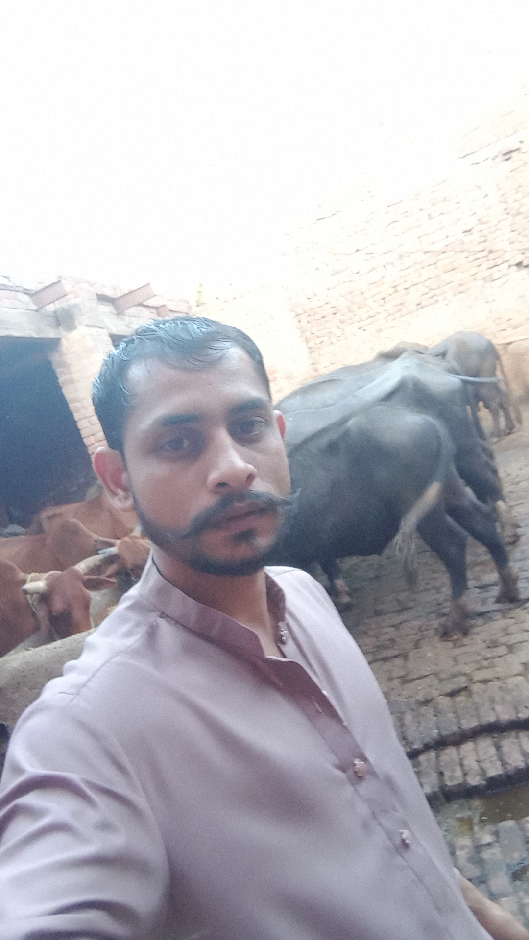 @ShafiqSamdhu