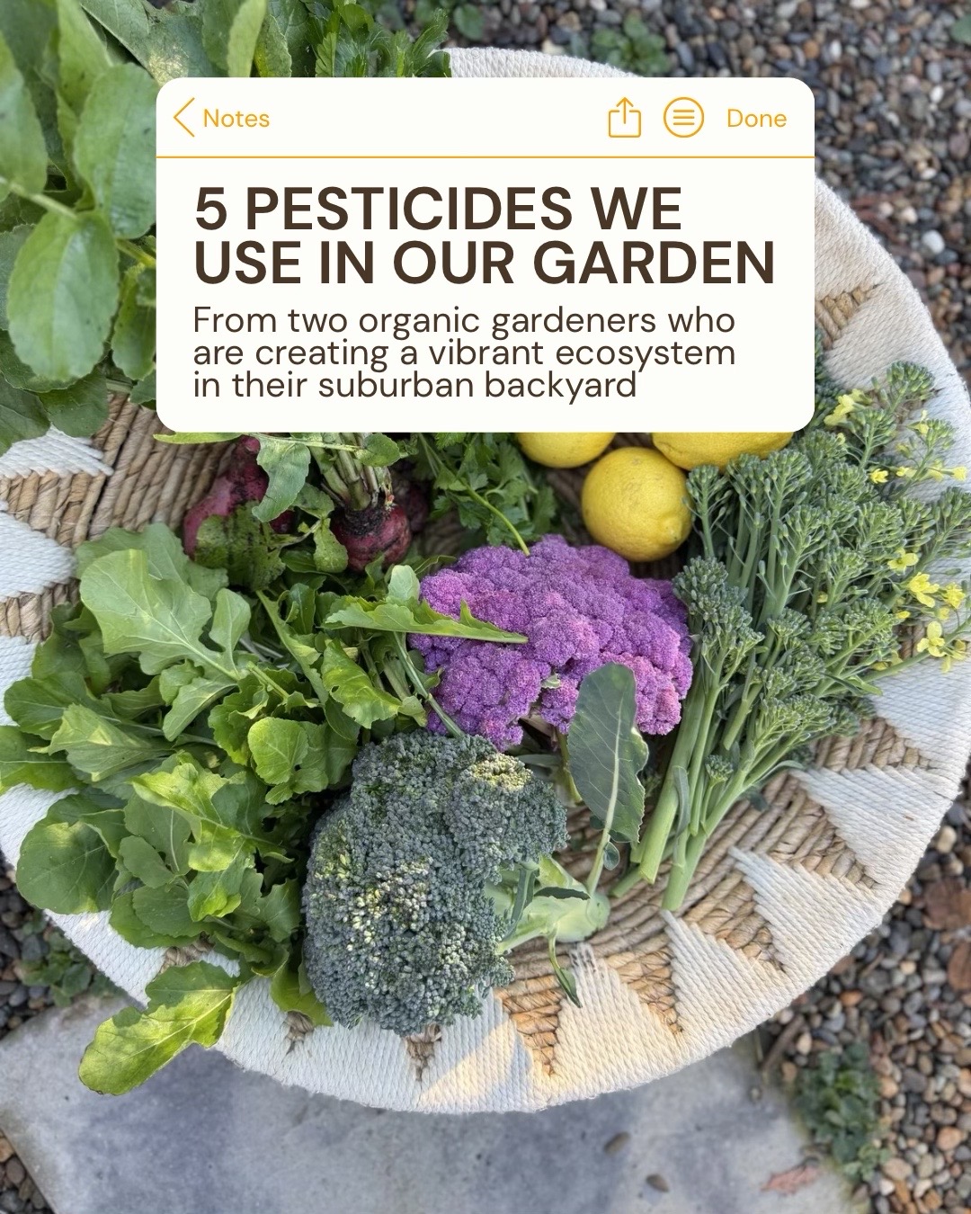 @curlycultivators