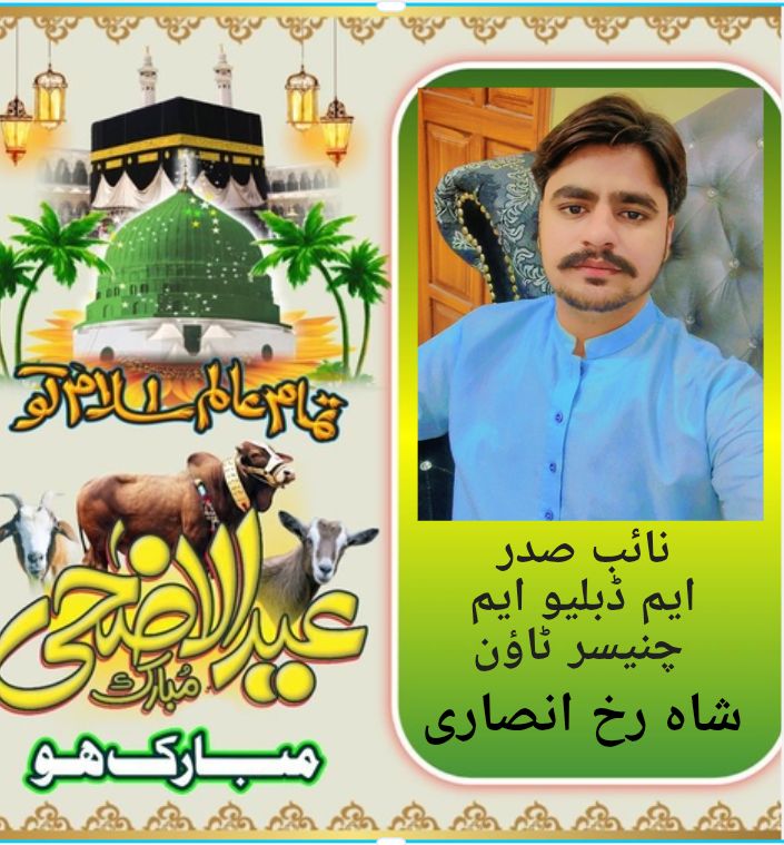 @ShahRukh Ansari