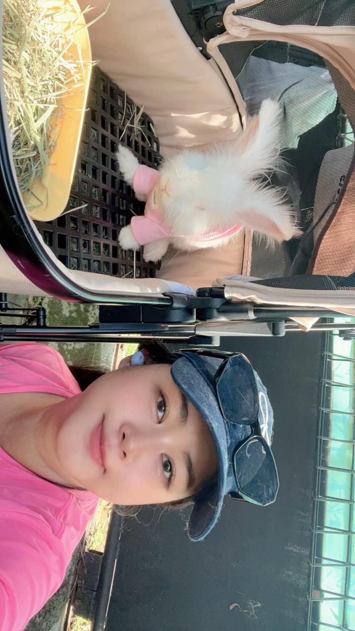 @🐰 Morhpin 🐰