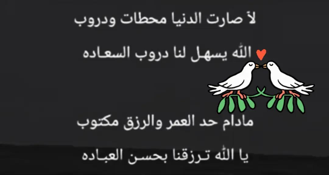 @🦜ابو محمد🦜 السهيمي 🦜