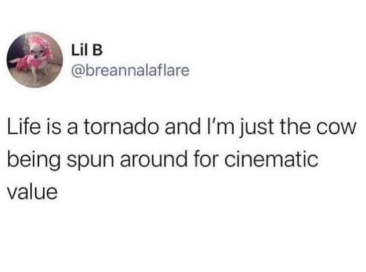 @ash🐌