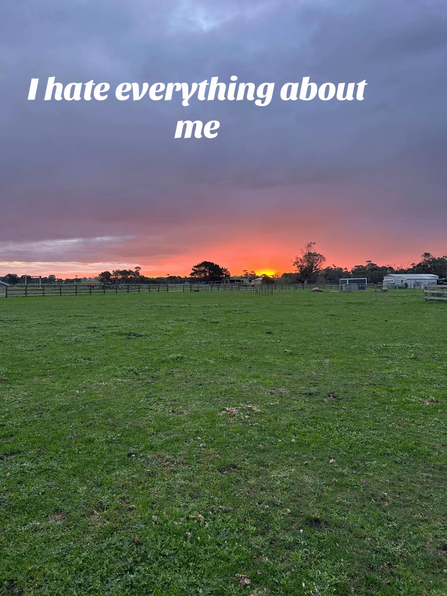 @Tilly Mead