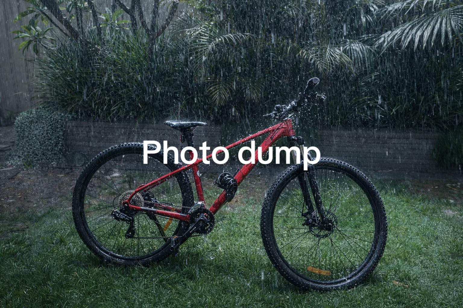 @Brodie331🫆