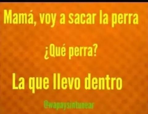 @el heavy 65