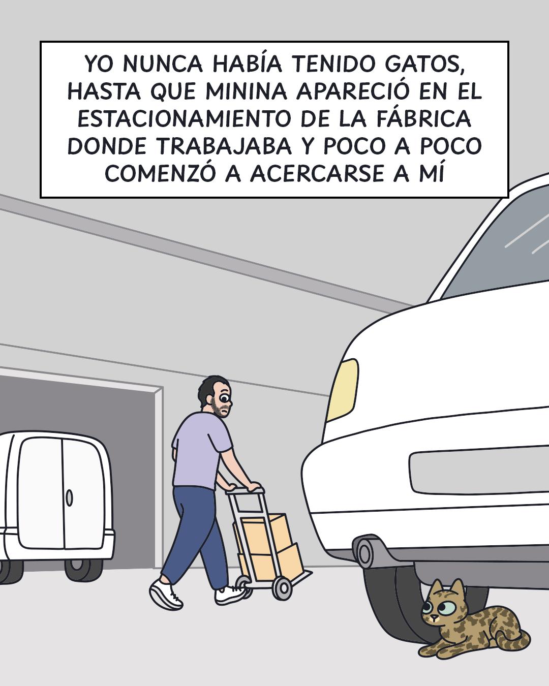 @Cosa de gatos