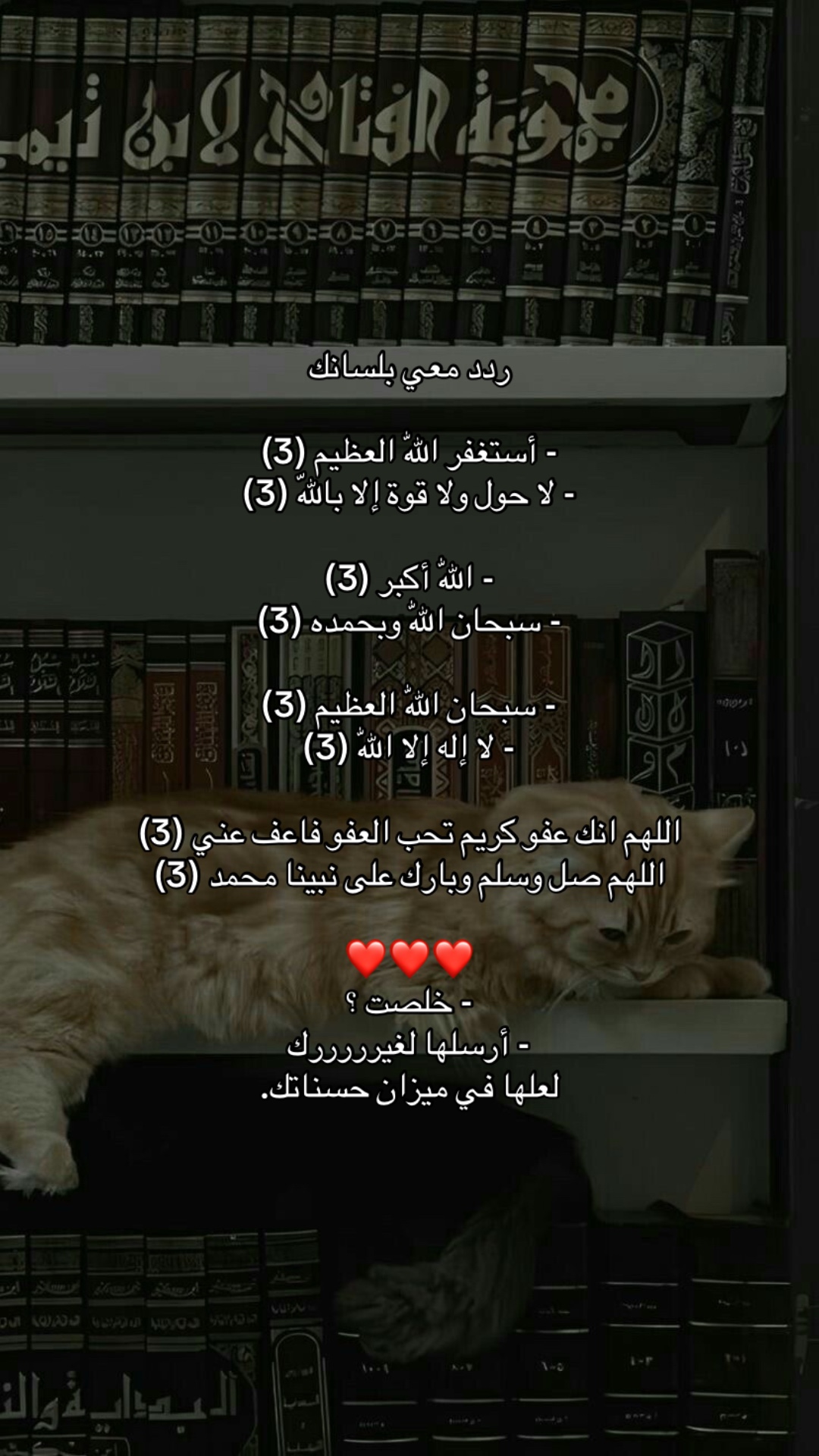 @- نَحو الجَنّة 📿 .