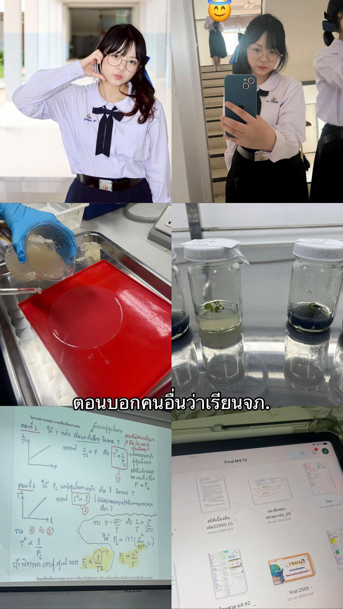 @ผักกาดอ้วน