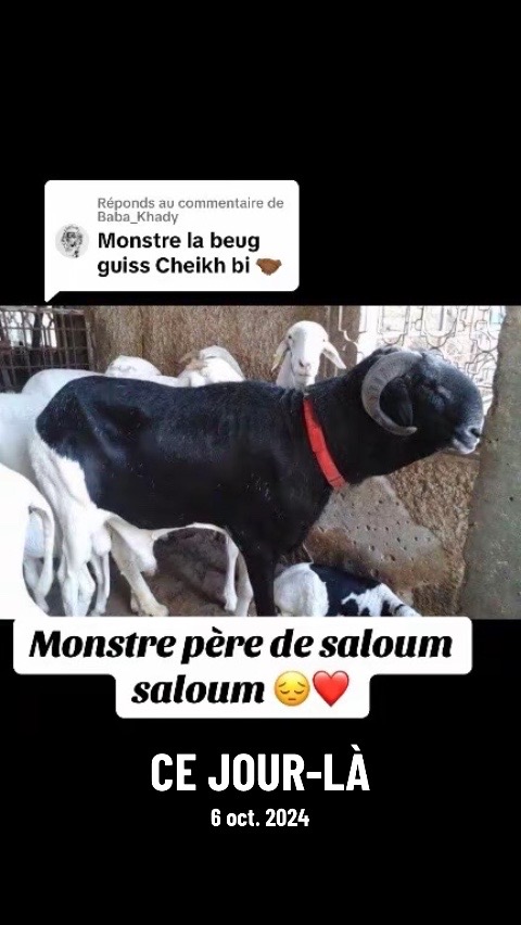 @galass_eleveur