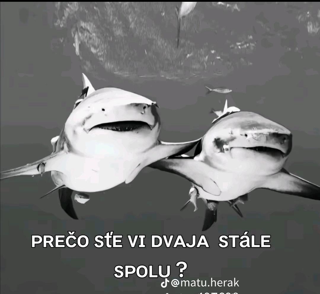 @🎀 Mirk&aelig;❤️