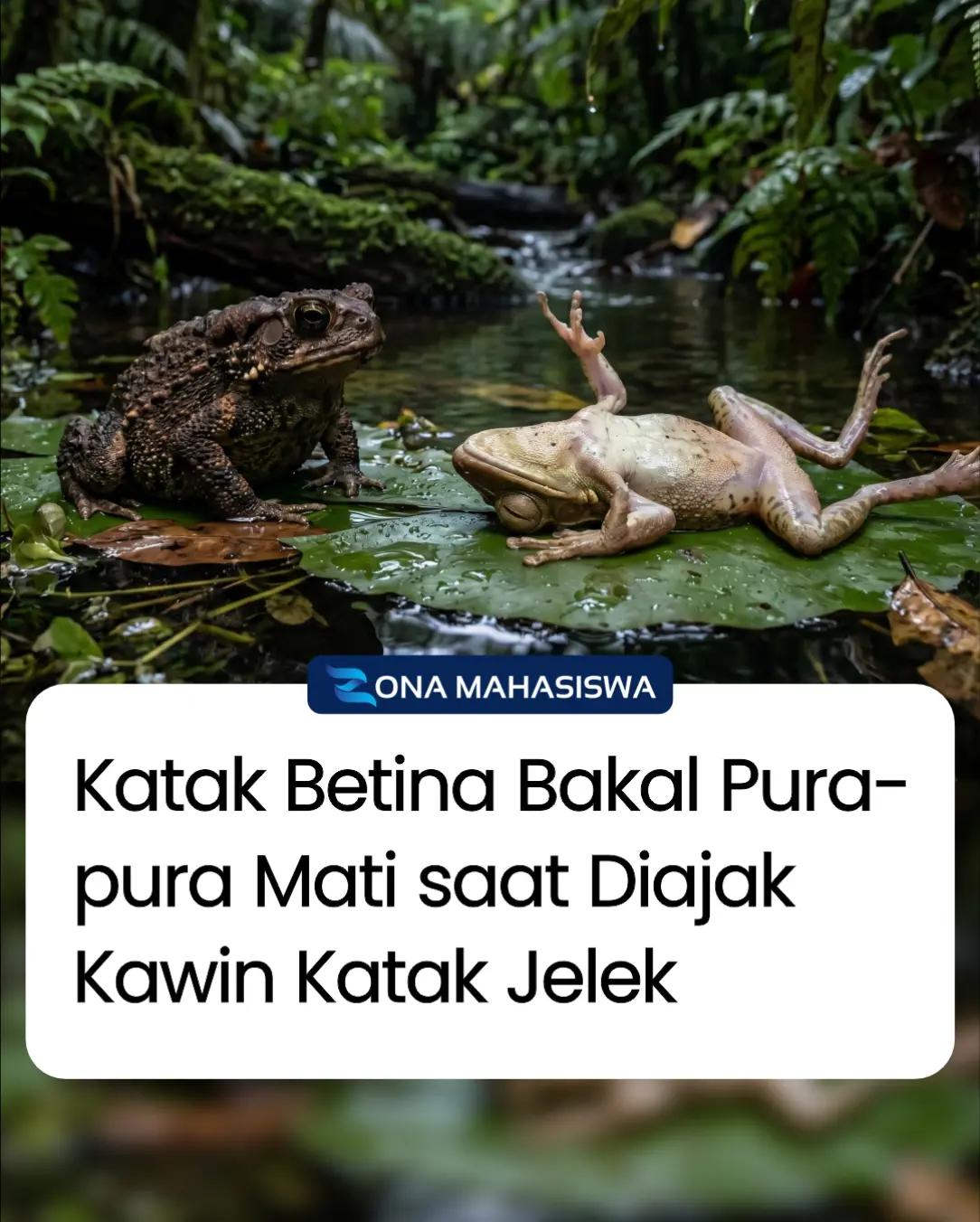 @Zona Mahasiswa