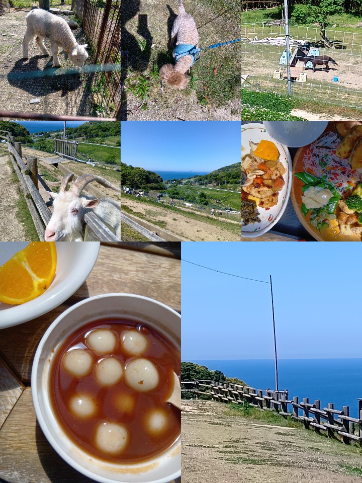 @紫乃🌍️WORLD♬