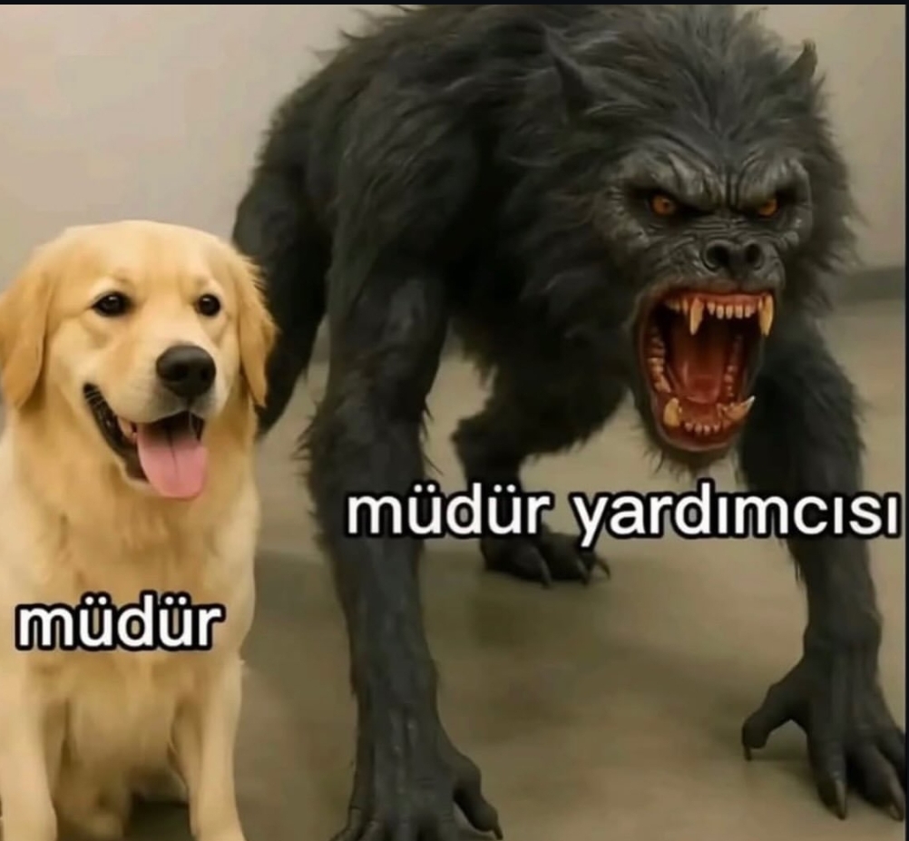 @𝓜 ִֶָ⋆