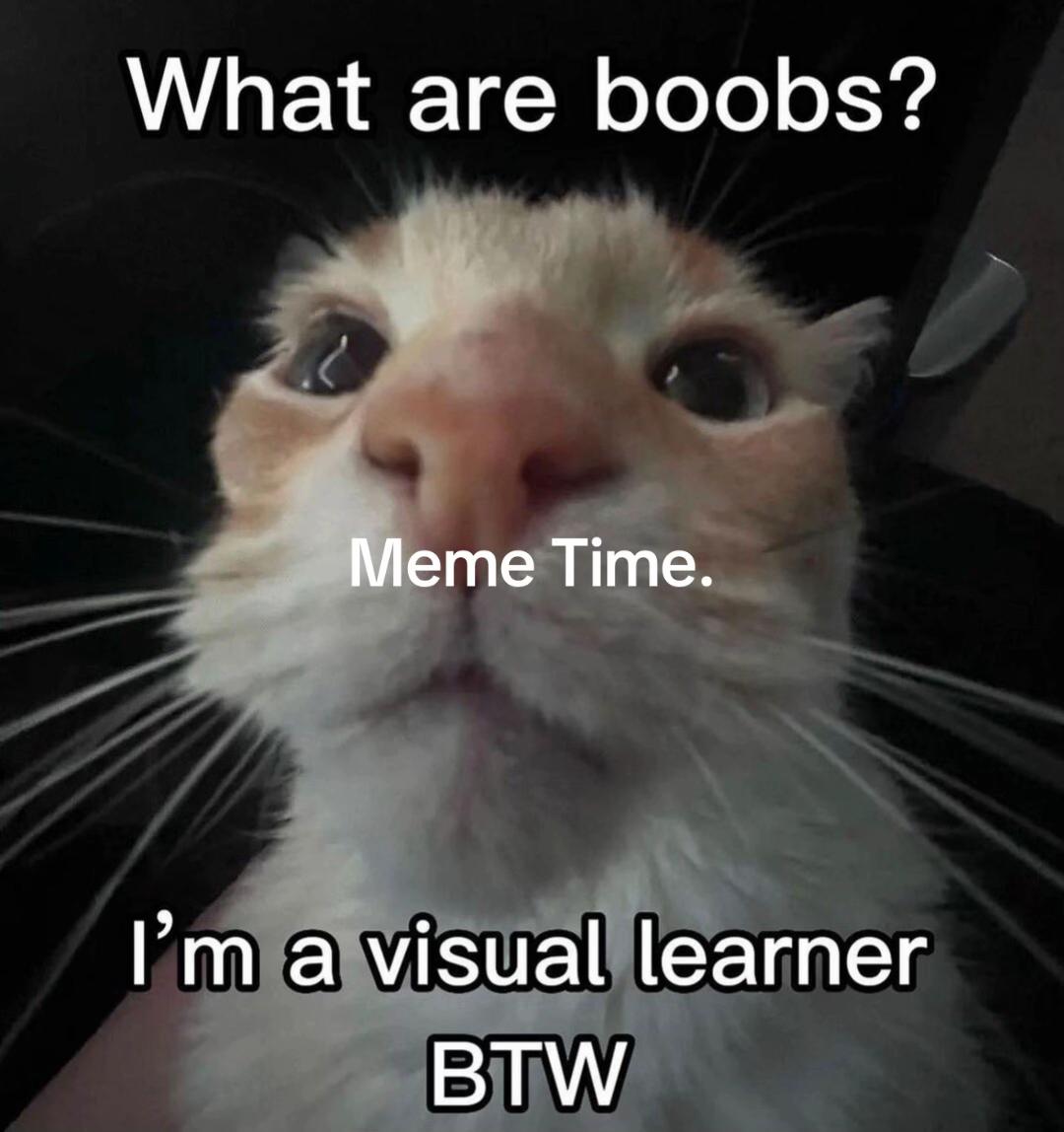 @theyellingkitty