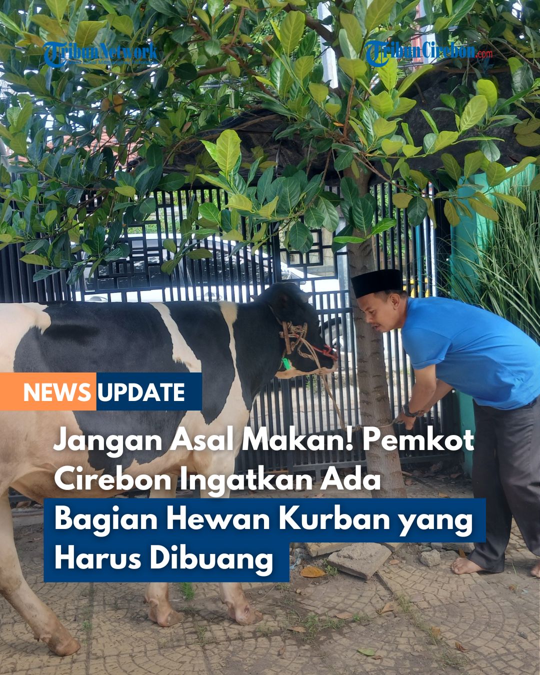@Tribun Cirebon