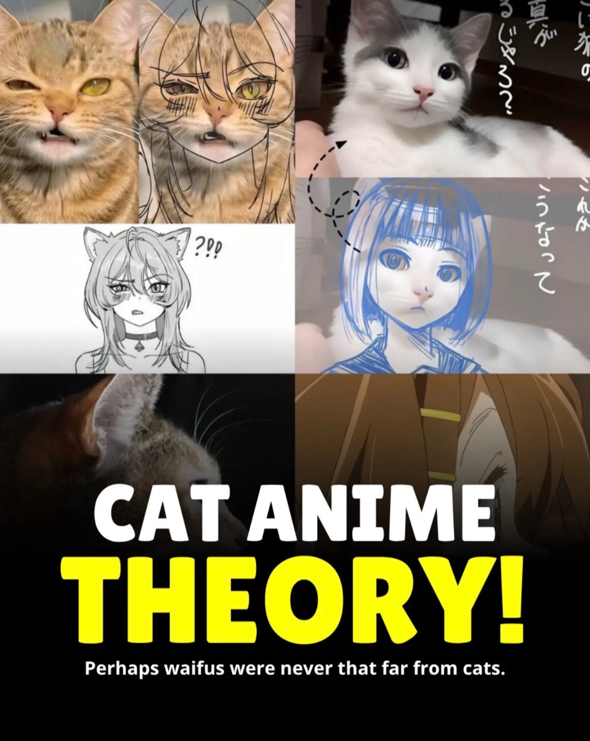@AnimeWorldNewsDaily