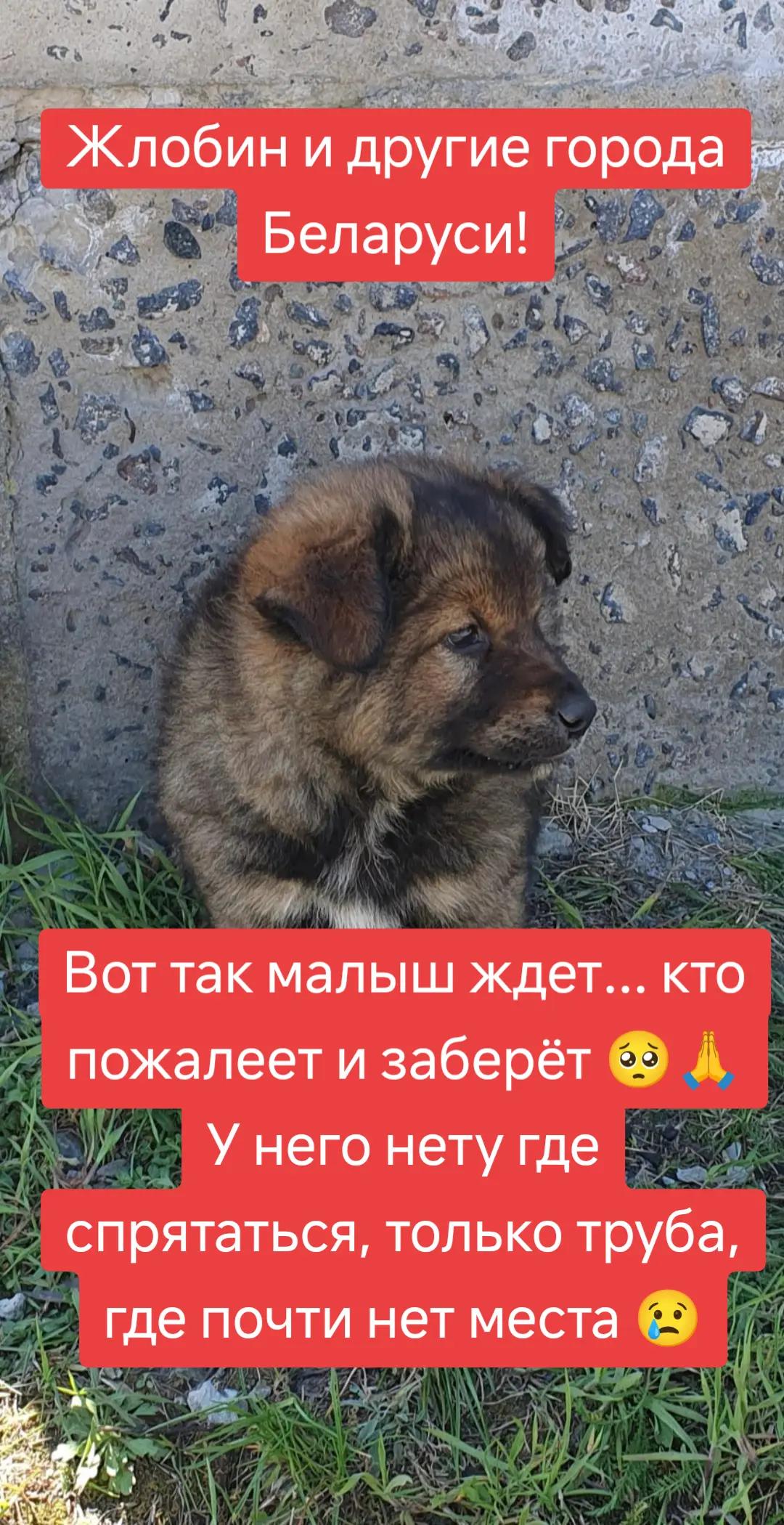 @Светлана Козлова
