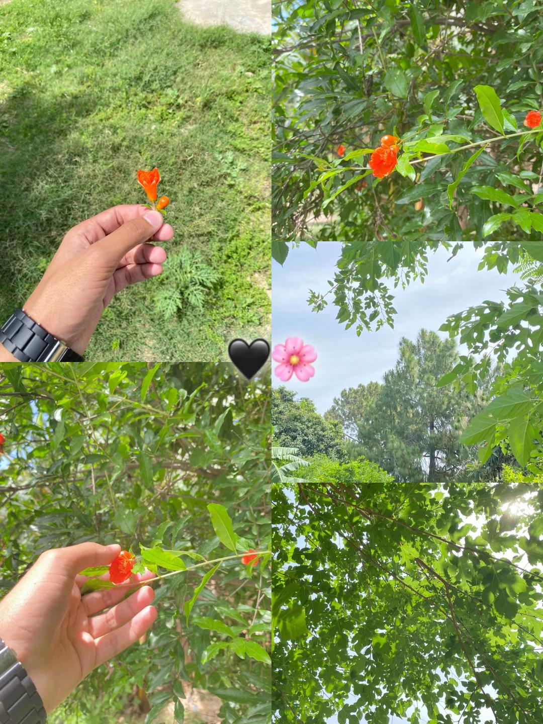 @𝘼𝙣𝙞𝙞𝙨𝙨𝙨 🌸