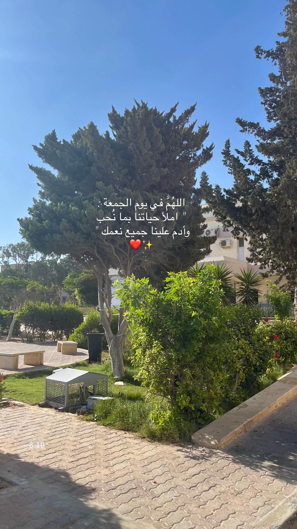 @20_سبتمِبر ♥️🧸.