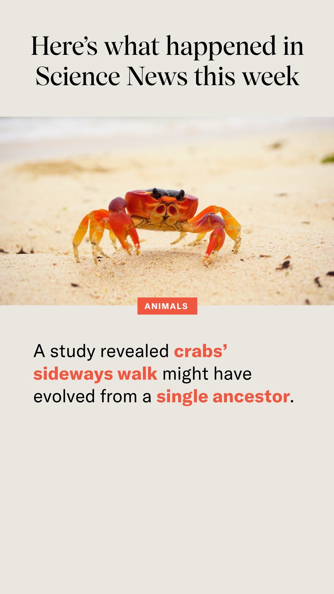 @Science News