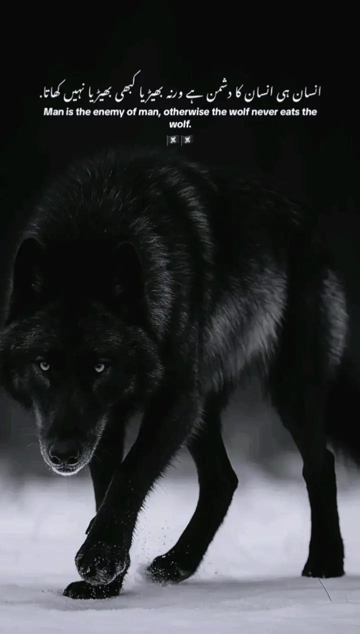 @(جواد)☠️☠️ج-وـ-ا-د🤫👀